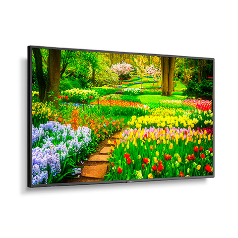 NEC M491-MPI4E | 49" Ultra High Definition Professional Display with integrated SoC MediaPlayer with CMS platform NEC