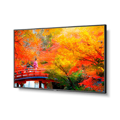 NEC MA491 | 49" Wide Color Gamut Ultra High Definition Professional Display NEC