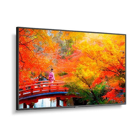 NEC MA491-MPI4E | 49" Wide Color Gamut Ultra High Definition Professional Display with integrated SoC MediaPlayer with CMS platform NEC