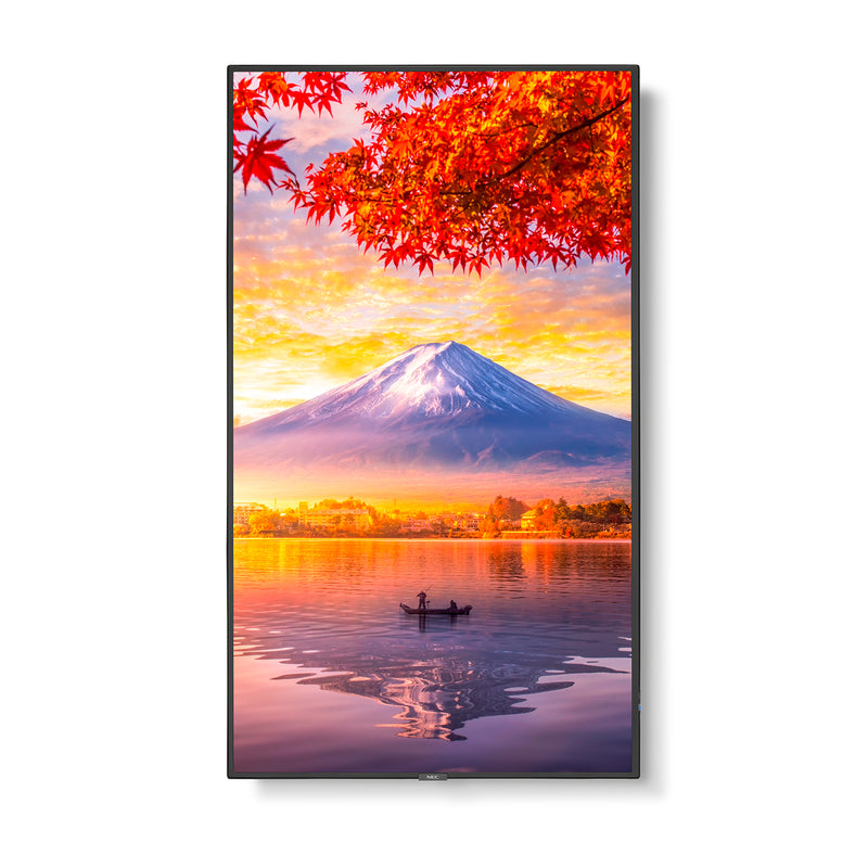 NEC MA551 | 55" Wide Color Gamut Ultra High Definition Professional Display NEC